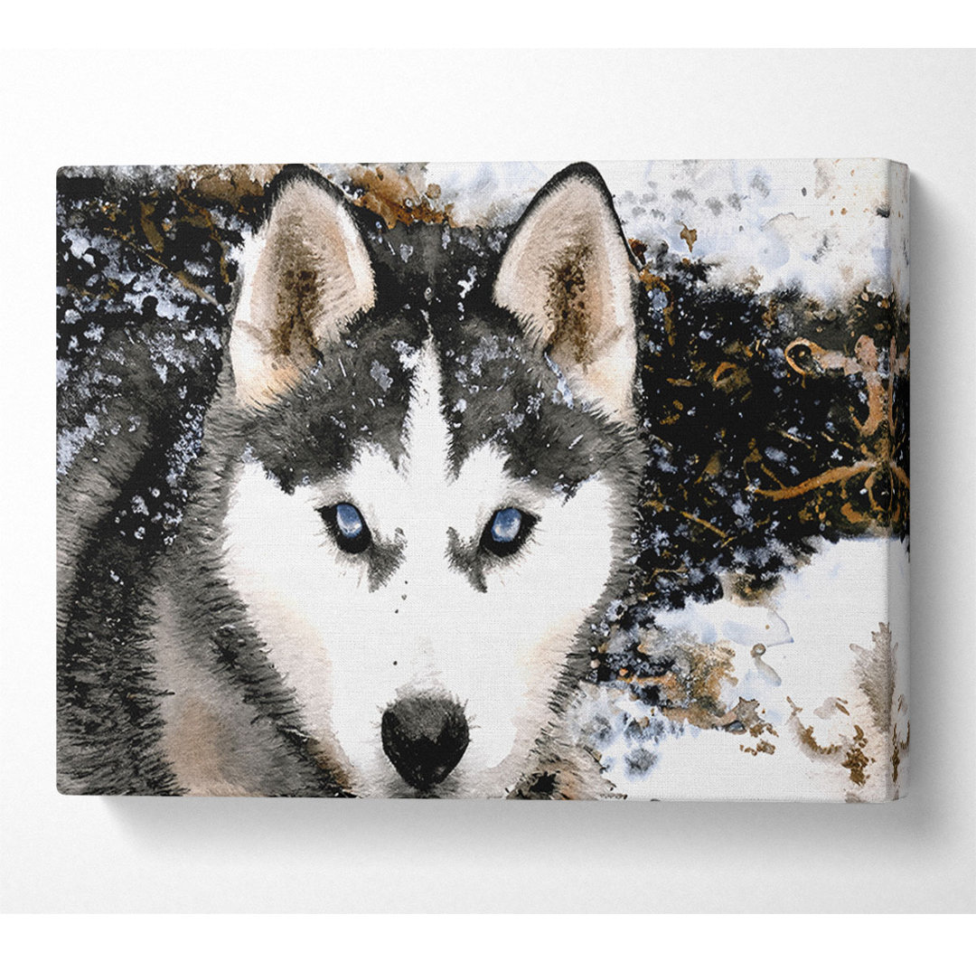 Siberian Husky Wolf - Druck