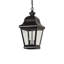 Palmer 2 - Light Pendant