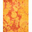Tapis orange / jaune noué à la main 4 pi 7 po x 4 pi 9 po Violante Mogul