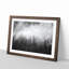 Moody Forest in Misurina Italy - Picture Frame Painting Print-56860585-56860586