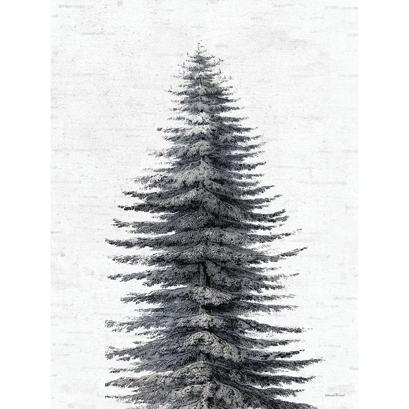 «Up Close Pine Tree On Canvas» par impression à lettres et doublée, H 30 po x l 20 po x P 1,25 po