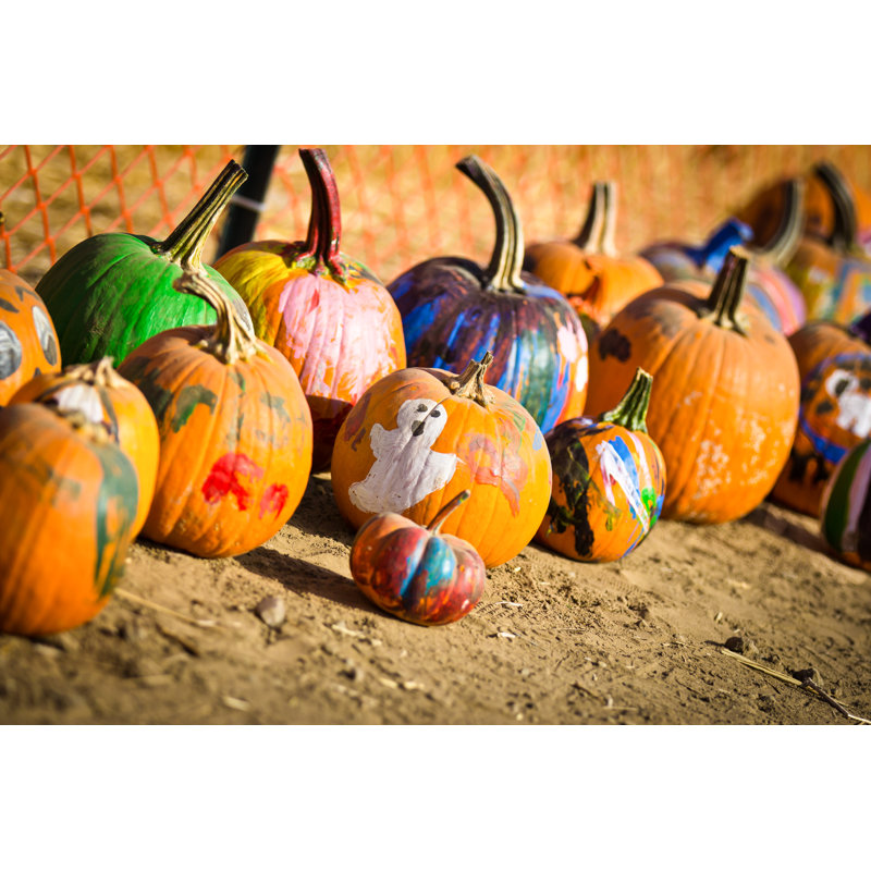 Painted Pumpkin - Wrapped Canvas Print, 30cm H x 46cm W
