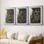 Tableau botanique rétro I - impression encadrée sur mesure de qualité supérieure - 3 pièces-497843001-497843002