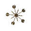 5 - Light Glass Chandelier