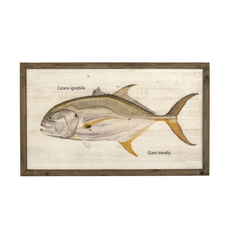 Giant Trevally Print, 23.5" H x 39.5" W x 1.5" D