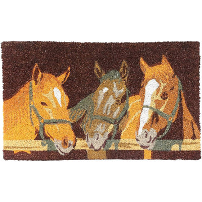 Stansberry Indoor / Outdoor Doormat