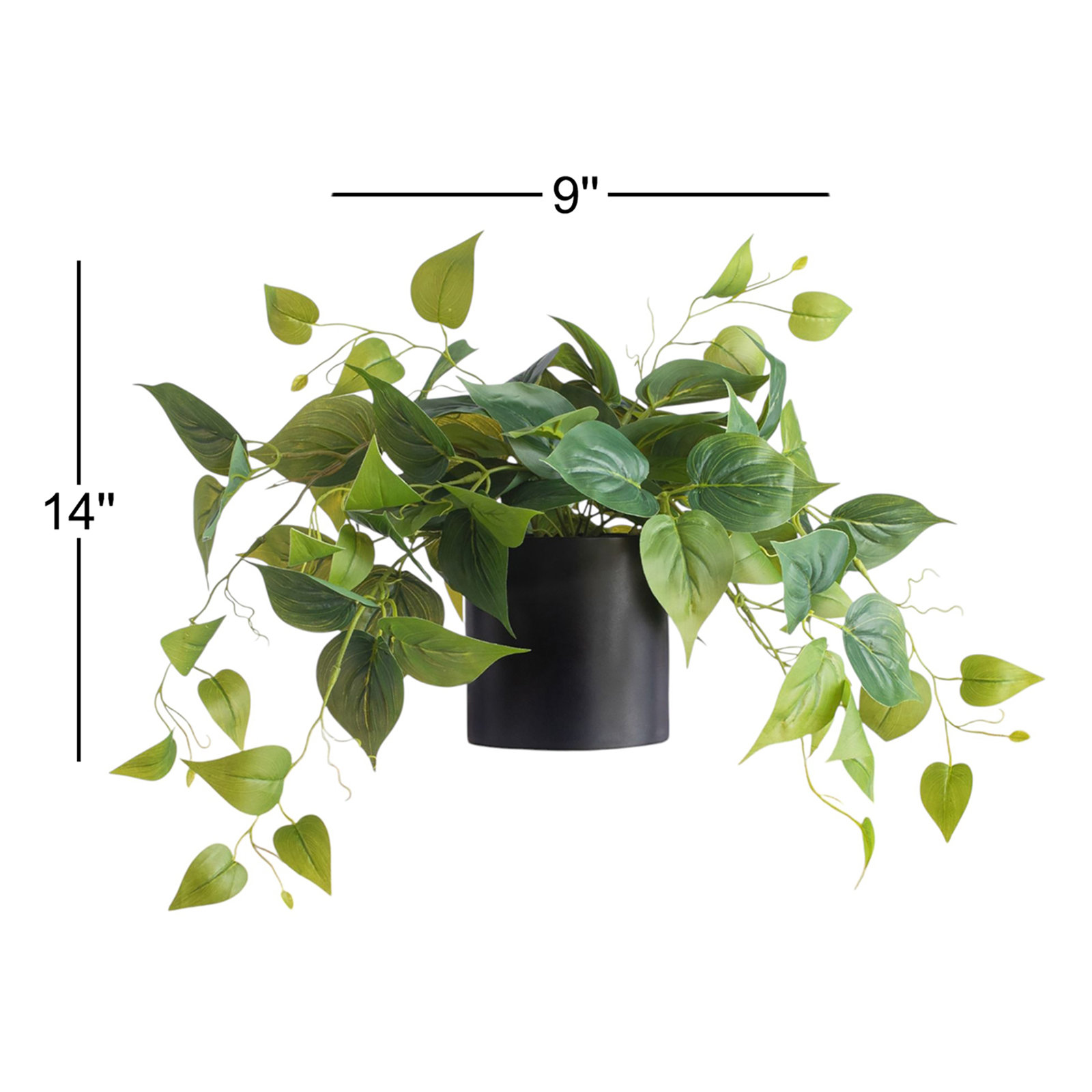 14" Pothos Plant in Pot, Black, 1