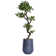 71.08'' Faux Yucca Tree in Planter