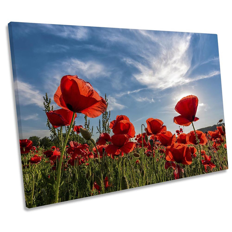 Poppy Flower Field - Wrapped Canvas Print, 30.5cm H x 45.7cm W x 2cm D