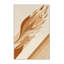Tapis abstrait doux et moelleux à motif abstrait moderne et contemporain beige-1629133604