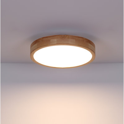 Perdomo Plastic LED Flush Mount