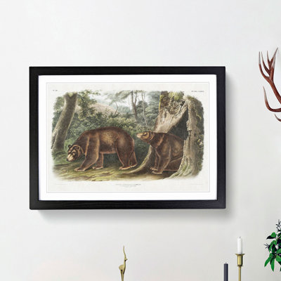 Cinnamon Bears by J.W. Audubon - Picture Frame Painting Print