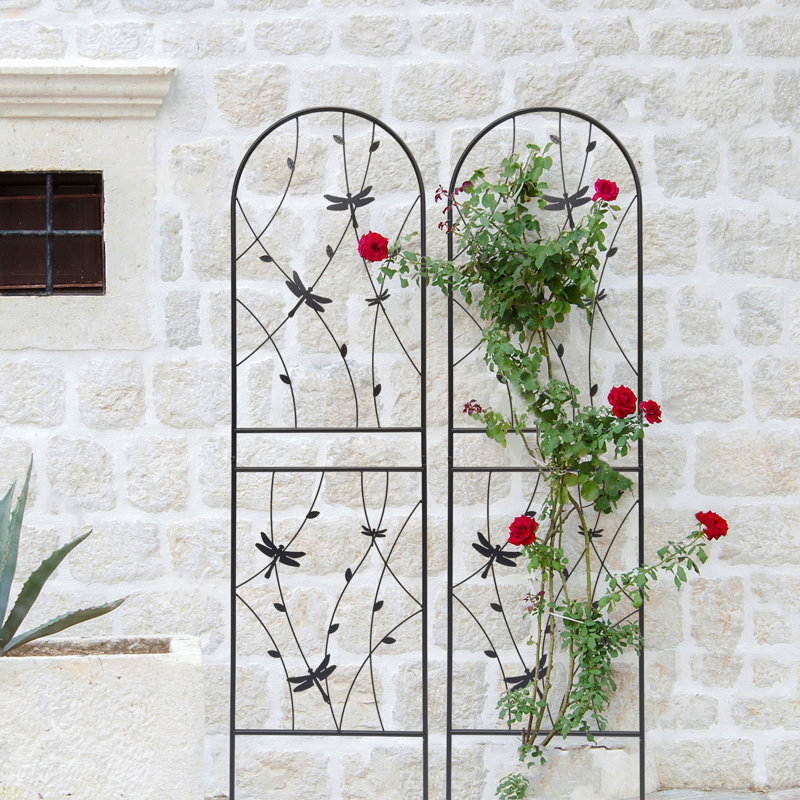 Paquet de 4 treillis de jardin en métal antirouille pour plantes grimpantes déco de libellules