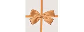 Perfect Holiday Elegance LLC. Logo