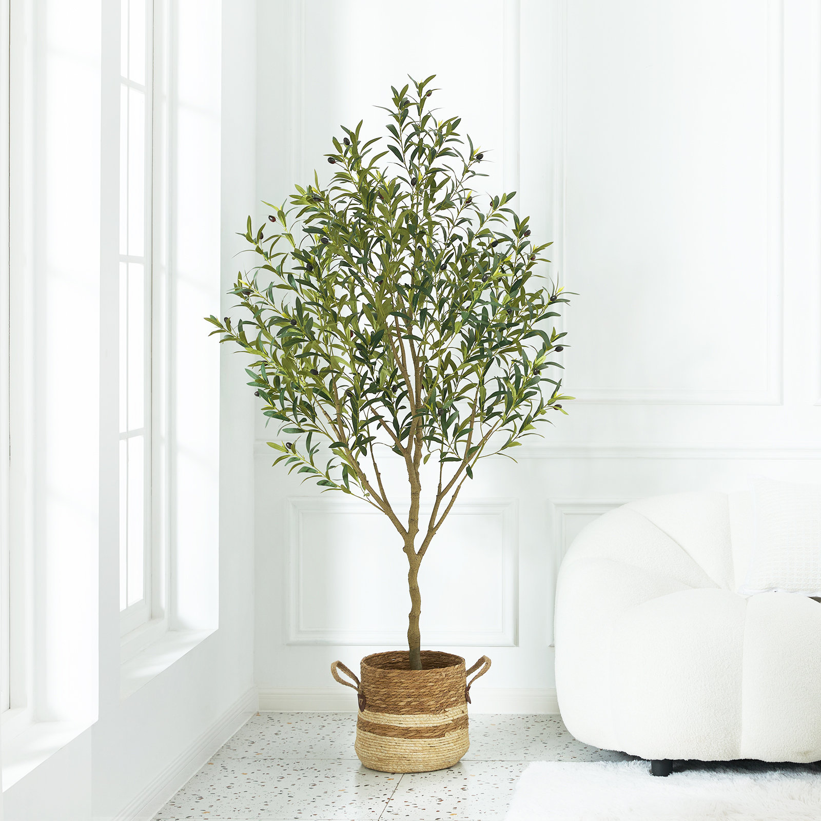 Adcock 72" Olive Tree in Pot, 72" H x 5.50" W x 24" D