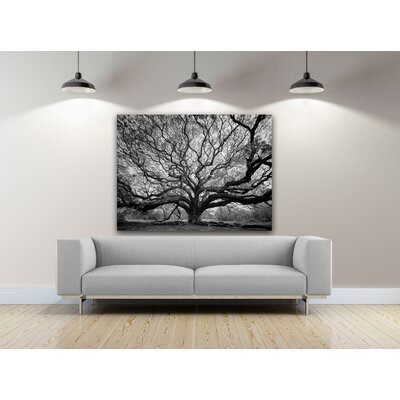 Red Barrel Studio® Tree Of Life On Canvas Print & Reviews | Wayfair