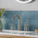 Celestine Widespread Faucet 2-handle Bathroom Faucet with Drain Assembly