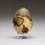 Polished Septarian Egg From Madagascar (175.6 Grams)