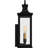 Tauri 1-Light Matte Black Outdoor Wall Lantern