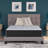 Elite Springs Firm California King Mattress-88302550