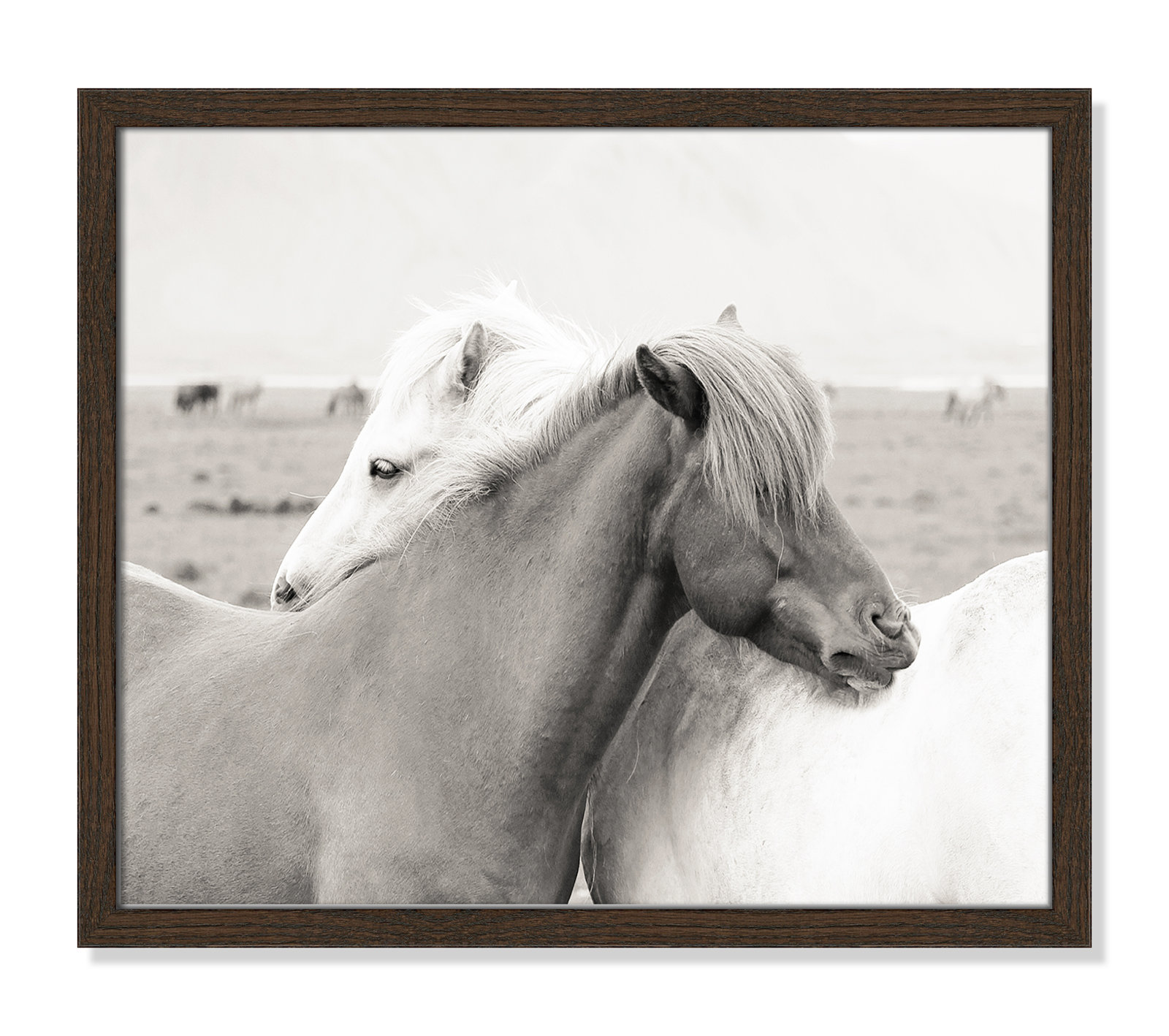 Melanie "Icelandic Meadow Horses" Print, 16" H x 19" W x 0.75" D, Walnut Wood Grain Framed