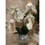Orchild Floral Arrangements in Vase