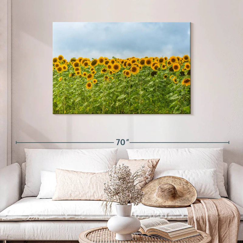 Tournesols Alvord, H 30 po x l 45 po