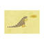 Dinosaure par Nic Squirrell - impression d'art graphique-53944520-53944524-54244237