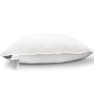 Down Blend Plush Pillow