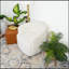 Chaise pivotante blanche Hot Sell Mina
