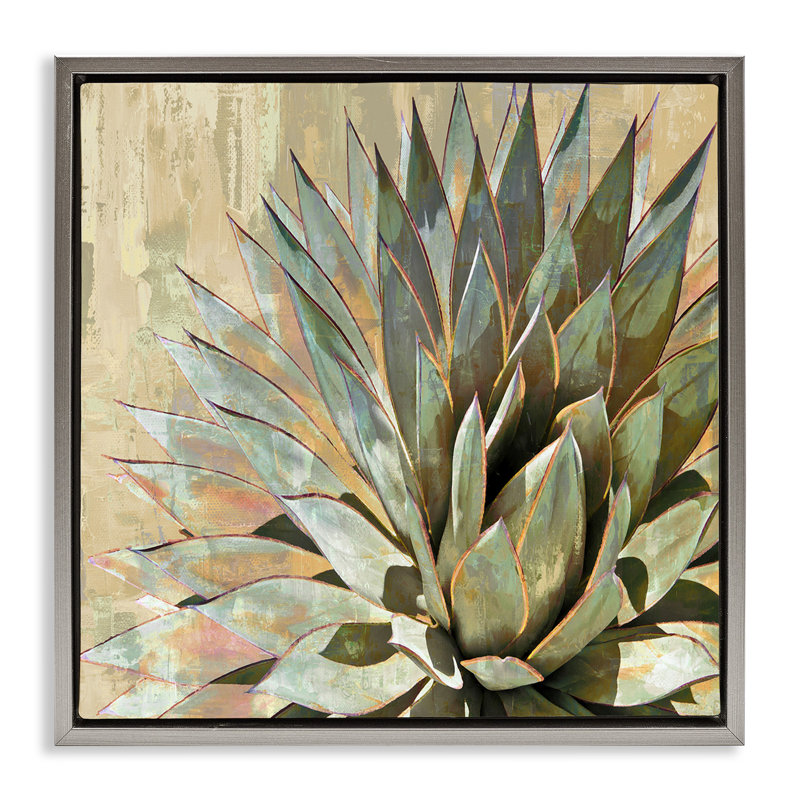 "Green Succulent Agave Leaves", encadrée par Floater par Lindsay Benson, Cadre flottant gris lustré, H 25 po x l 25 po