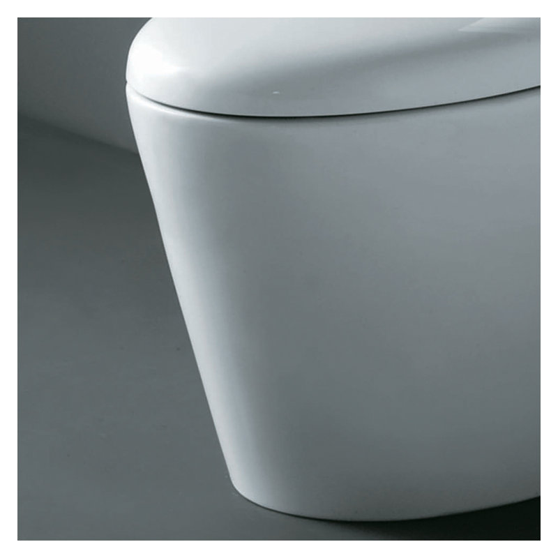 1.28 Gallons GPF High Efficiency Dual Flush One-Piece Toilet