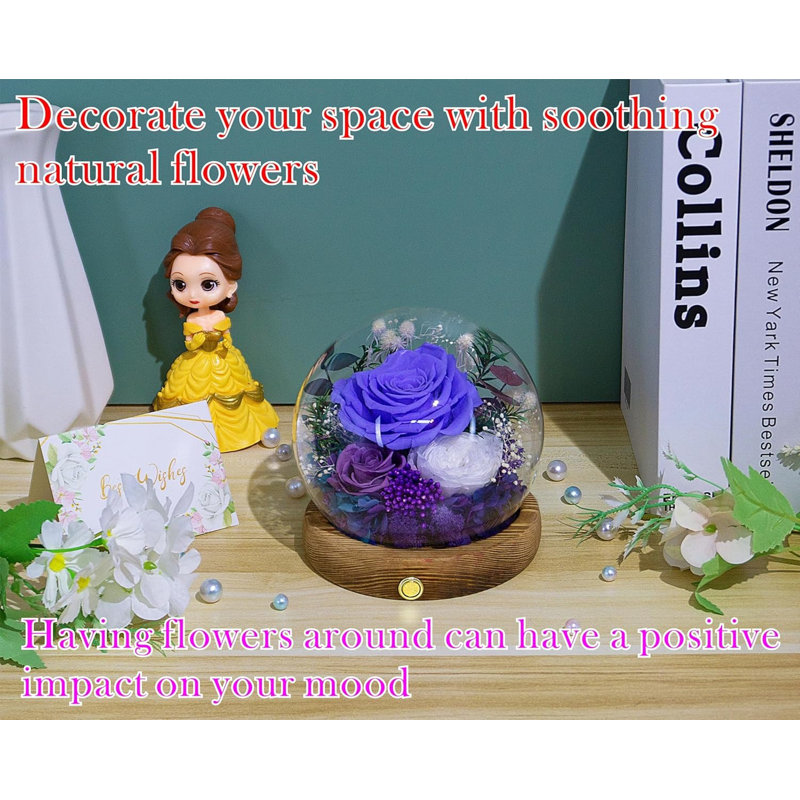 Cadeau de vraies fleurs en conserve avec lumières DEL violet, mauve et blanc Austin