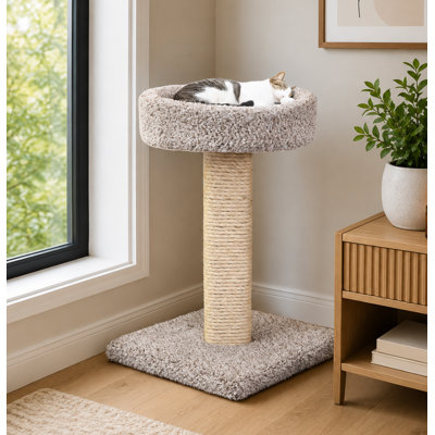 New Cat Condos 25″ Cat Scratching Post with Perch