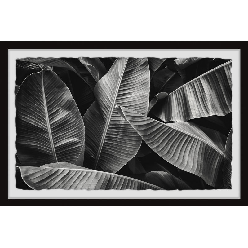 Fresh Tropical Leaves II - Single Picture Frame Painting, 20 cm H x 30 cm W