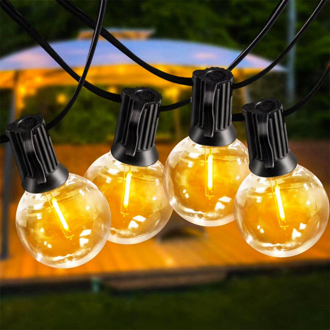 Amairani 762cm 20 - Bulb Festoon Lights String Light (End to End Connectable)