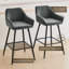 Saarrah 68cm Upholstered Bar Stool with Arms-1279230699