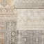 Lynnette Oriental Area Rug in Gray-489744071
