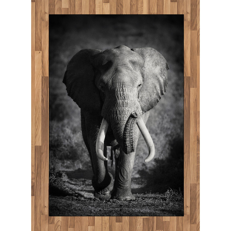 Cynde Area Rug, Rectangle 120 x 180cm
