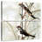 Brampt Neutral Spring II-109143616