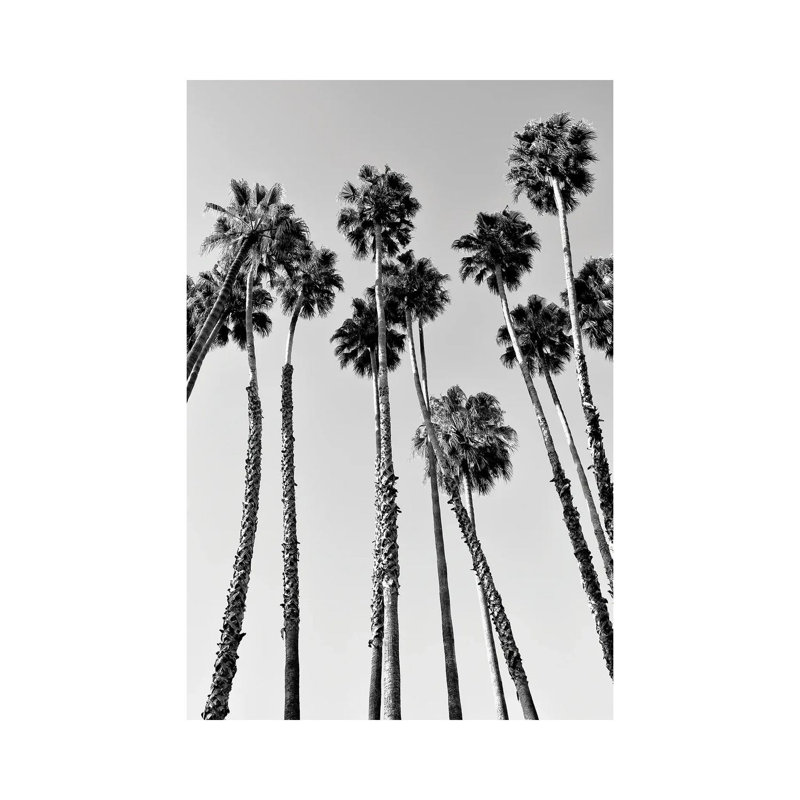 Palm Trees Beverly Hills by Philippe Hugonnard - Wrapped Canvas Print, 20.32 cm H x 30.48 cm W