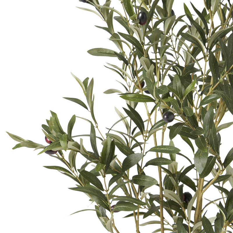 Aarav Faux Olive Tree Tree in Pot, 47" H  x 19" W x 15" D
