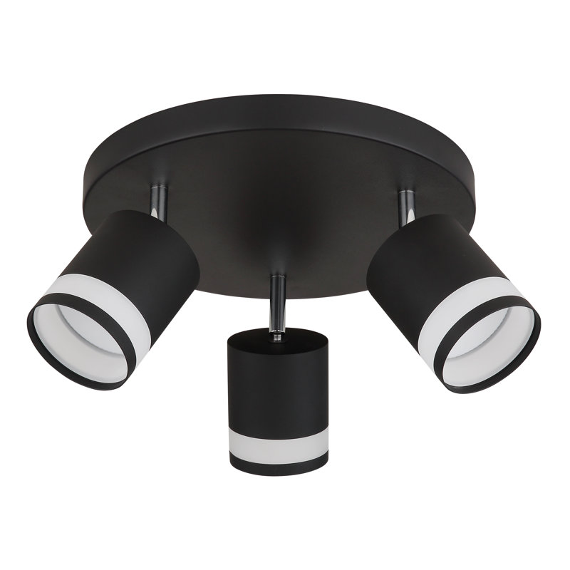 Scarla Spotlight
