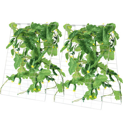 Treillis de jardin pliable en A à concombre 35 po x 55 po
