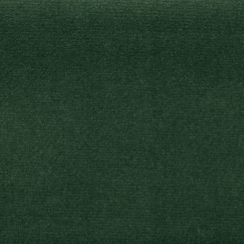 Tissu Sahara, Evergreen