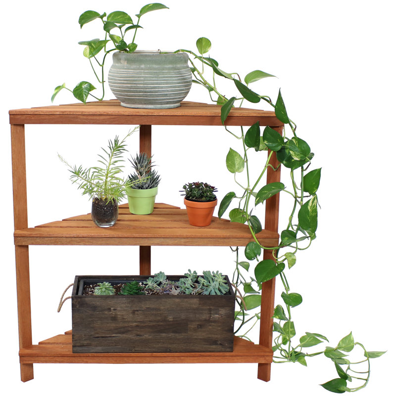 Support pour plante d'extérieur en bois de meranti brun à 3 niveaux Turrella