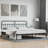 Briandra Metal Bed Frame with Headboard & Slats, No Mattress, Easy Assembly-1246883804-1246883805