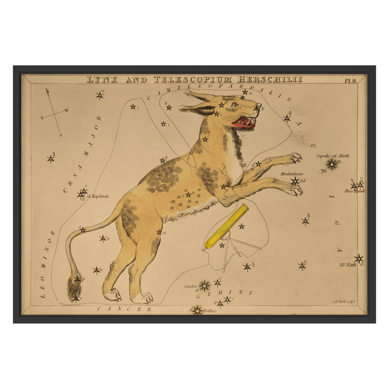 Lynx par Grand archives - reproduction encadrée d'une seule photo sur papier, Cadre noir, H 22 po x l 31 po