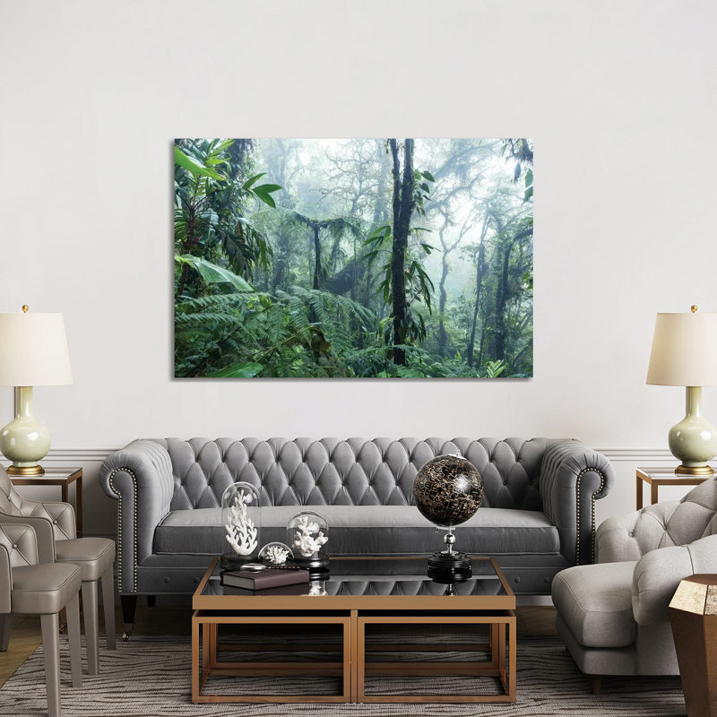 Monteverde Cloud Forest, Costa Rica by Matteo Colombo - Wrapped Canvas Print, 152.5 cm H x 101.5 cm W