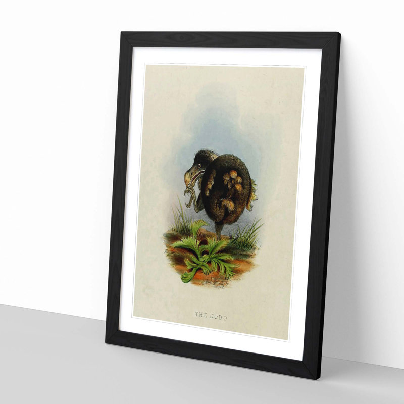 Vintage Dodo by John Jennens - Framed Print, Black
